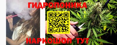 индика Балашиха