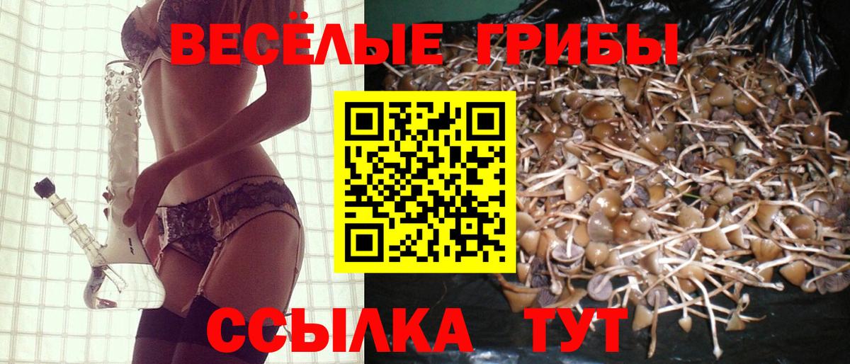 Галлюциногенные грибы прущие грибы  Вход с VPN  Астрахань  Галлюциногенные грибы ЛСД 